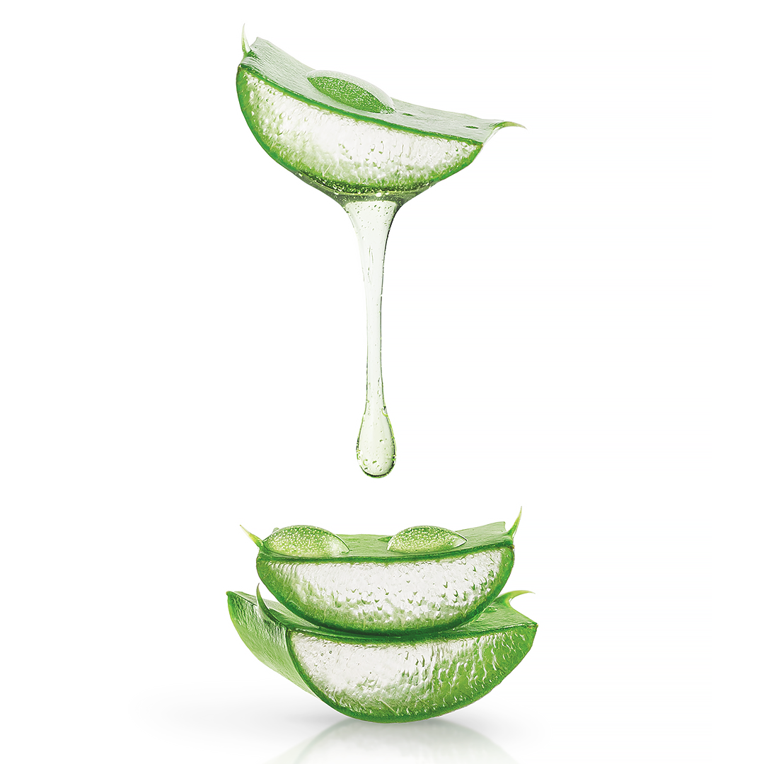 Aloe vera