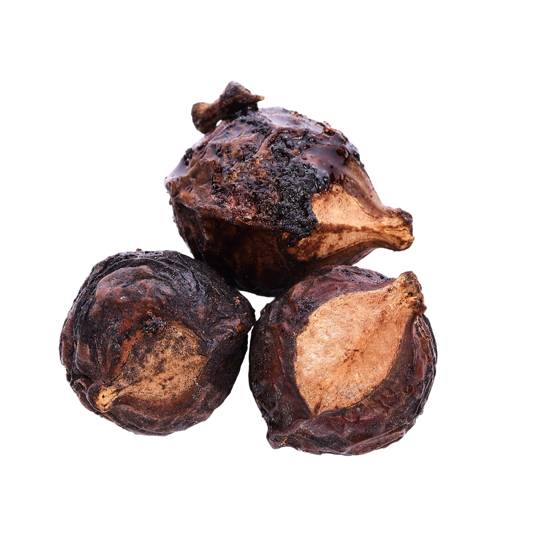 Soap nut